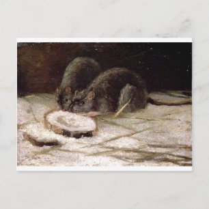 Two Rats by Vincent van Gogh Postcard