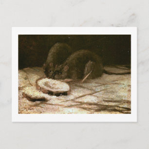 Two Rats Van Gogh Fine Art Postcard