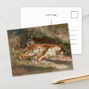 Two Recumbent Tigers Rosa Bonheur Postcard