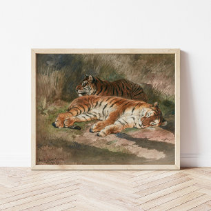 Two Recumbent Tigers   Rosa Bonheur Poster