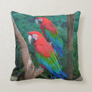 Two Red and Green Winged Macaws Ara Chloropterus Cushion