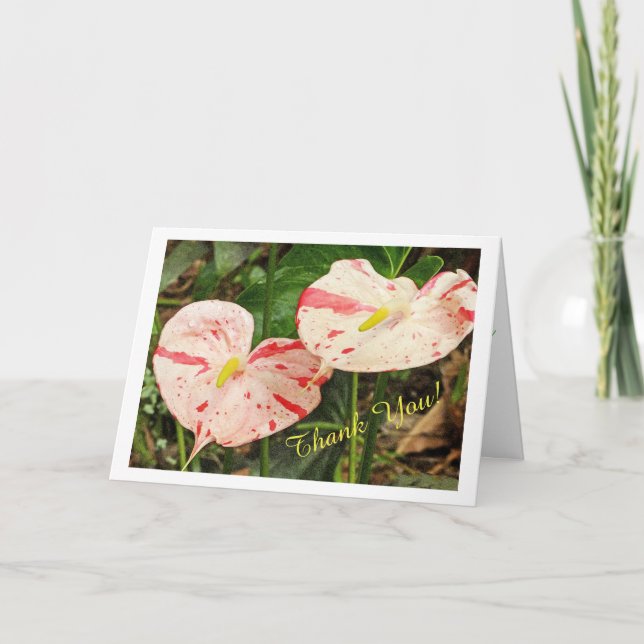 TWO RED AND WHITE ANTHURIUMS/CUSTOMIZABLE THANK YO THANK YOU CARD (Front)