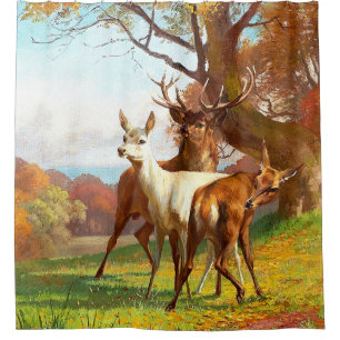 Two Red And White Deer In The Forest Shower Curtain