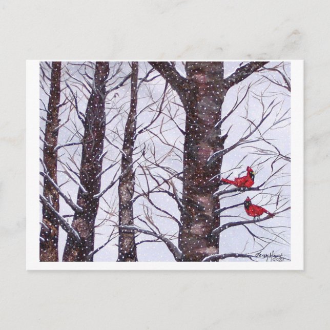 two red birds in winter, Copyright 2005 Postcard (Front)