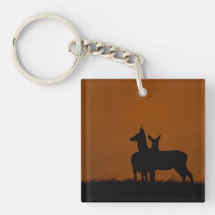Two Red Deer at Dawn Wildlife Photography Key Ring