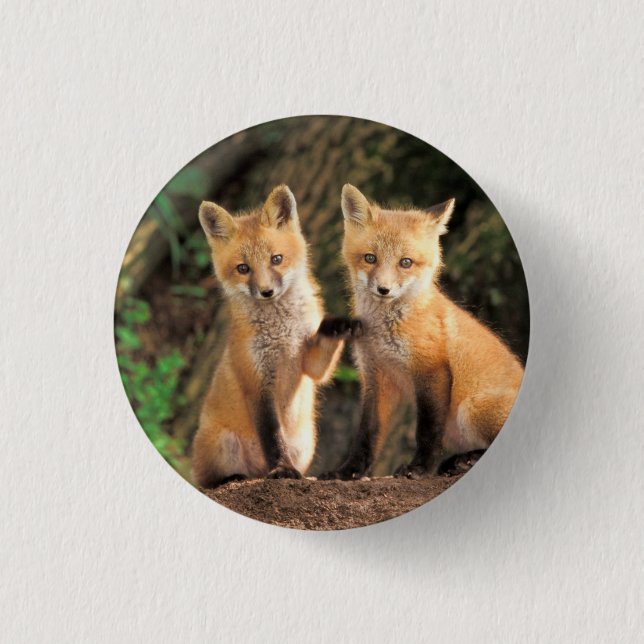 Two Red Fox Pups in Front of Their Den 3 Cm Round Badge (Front)