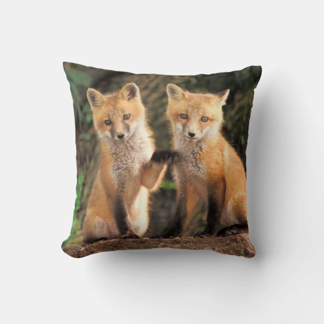 Two Red Fox Pups in Front of Their Den Cushion (Front)