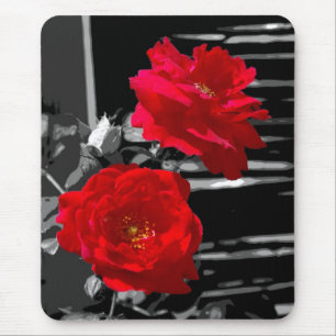 TWO RED ROSES MOUSE PAD