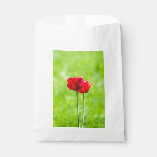 Two red tulip flowers favour bag (Front)