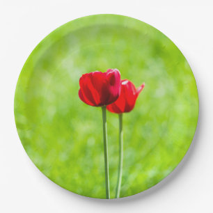 Two red tulip flowers paper plate