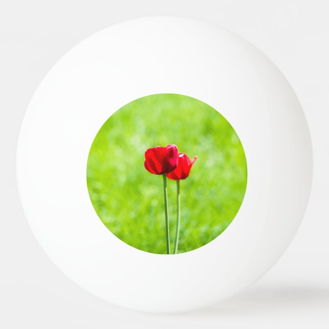 Two red tulip flowers ping pong ball (Front)