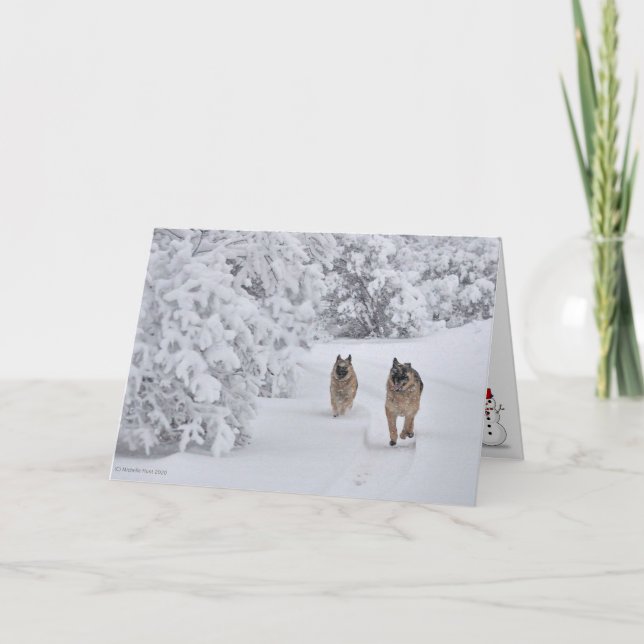 Two Rescue German Shepherd Dogs Running in Snow Card (Front)