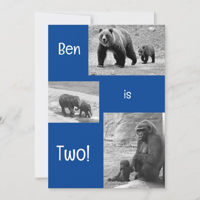 Two-rific Zoo Birthday Party Invitation (Front)