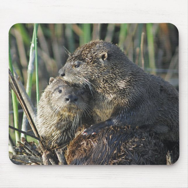 Two River Otters Mouse Pad (Front)