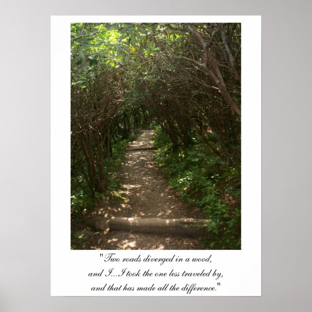 Two roads diverged in a wood Poster version 2 (Front)