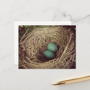Two Robin Eggs in a Nest Postcard