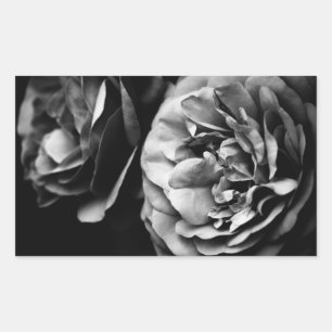 two roses rectangular sticker