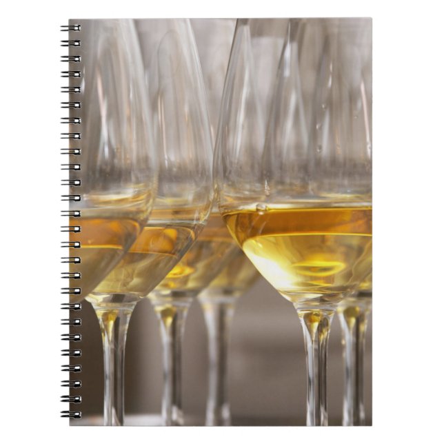 two rows of wine tasting glasses with lucious notebook (Front)