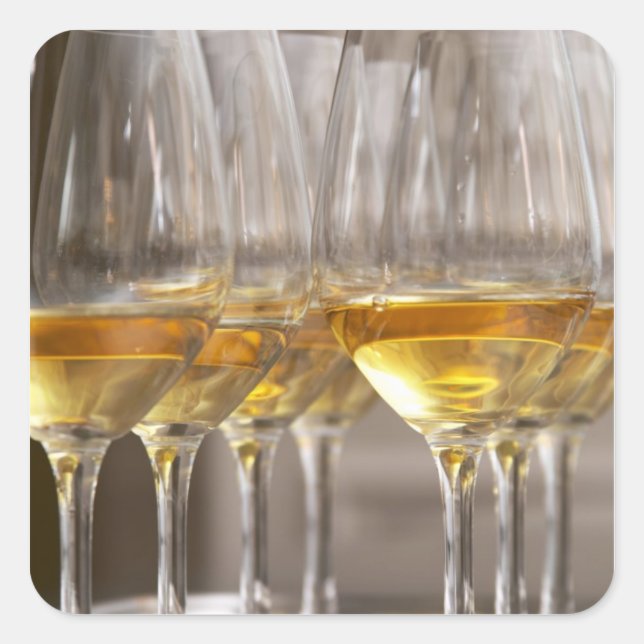two rows of wine tasting glasses with lucious square sticker (Front)