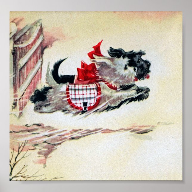 Two Running Scotties Poster (Front)