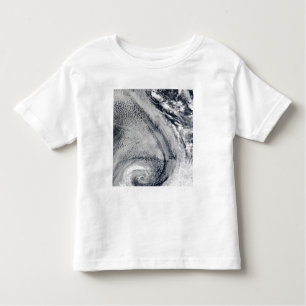 Two S-Shaped Polar Hurricanes Toddler T-Shirt