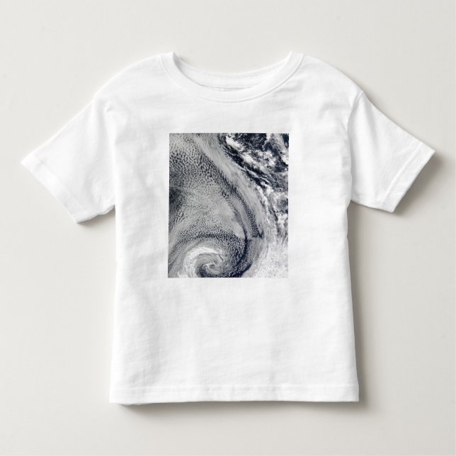 Two S-Shaped Polar Hurricanes Toddler T-Shirt (Front)