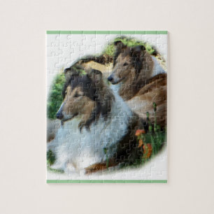 Two Sable Rough Collies Jigsaw Puzzle