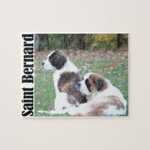 Two Saint Bernards Jigsaw Puzzle
