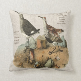 Two Sandpipers with Poem added Cushion