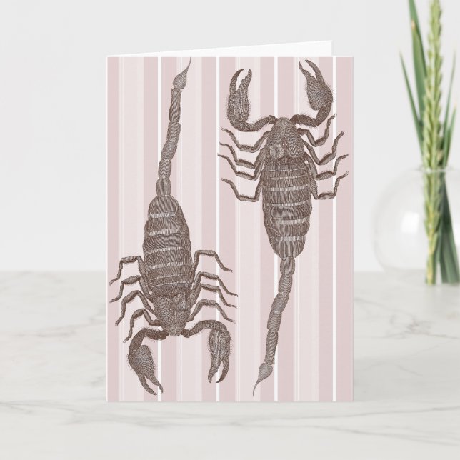 Two Scorpions - Birthday Card for Scorpio (Front)
