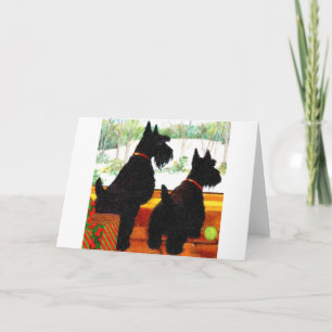 Two Scottie Dogs At Christmas Holiday Card