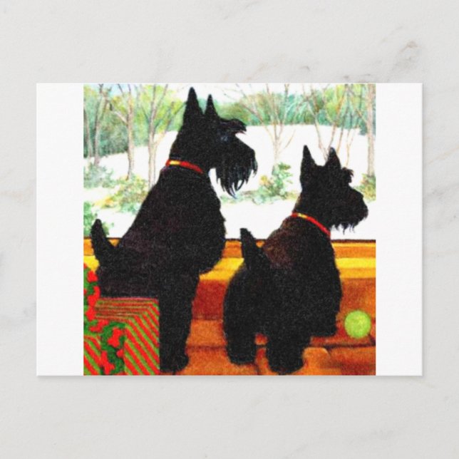 Two Scottie Dogs At Christmas Holiday Postcard (Front)