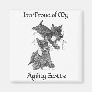 Two Scottish Terriers Agility Magnet