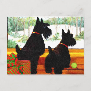 Two Scotty Dogs at Christmas Holiday Postcard