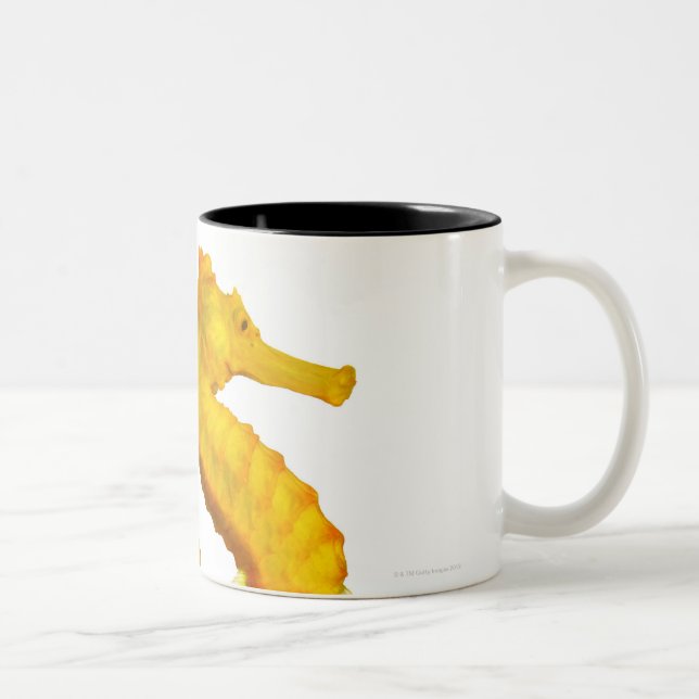 Two Sea Horses shoot on a white background Two-Tone Coffee Mug (Right)