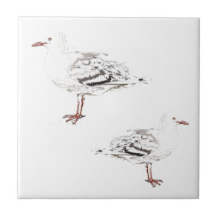 Two seagulls Watercolour Sketch Birds Ceramic Tile