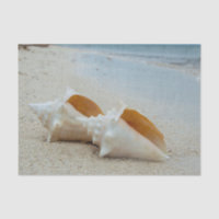 Two Seashells on the Ocean Beach 