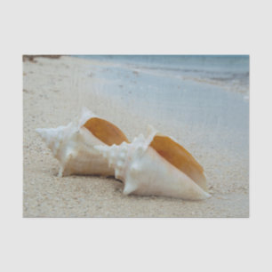 Two Seashells on the Ocean Beach  Tissue Paper
