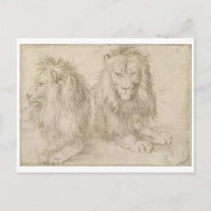Two Seated Lions by Albrecht Durer Postcard