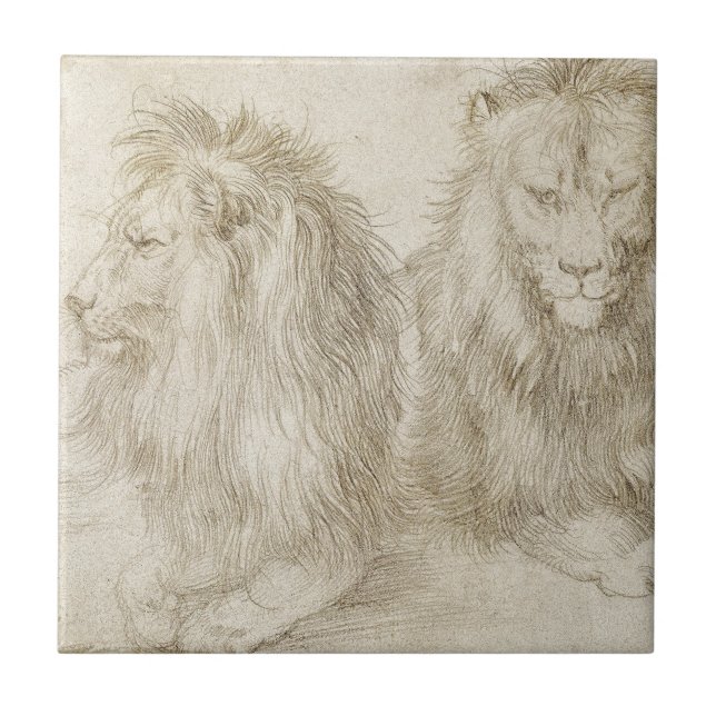 Two Seated Lions by Albrecht Durer Tile (Front)