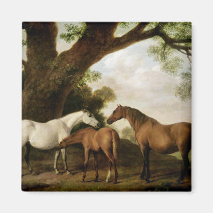 Two Shafto Mares and a Foal, 1774 Magnet