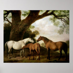 Two Shafto Mares and a Foal, 1774 Poster