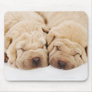 Two Shar Pei puppies sleeping Mouse Pad