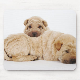 Two Shar Pei puppies sleeping, studio shot Mouse Pad