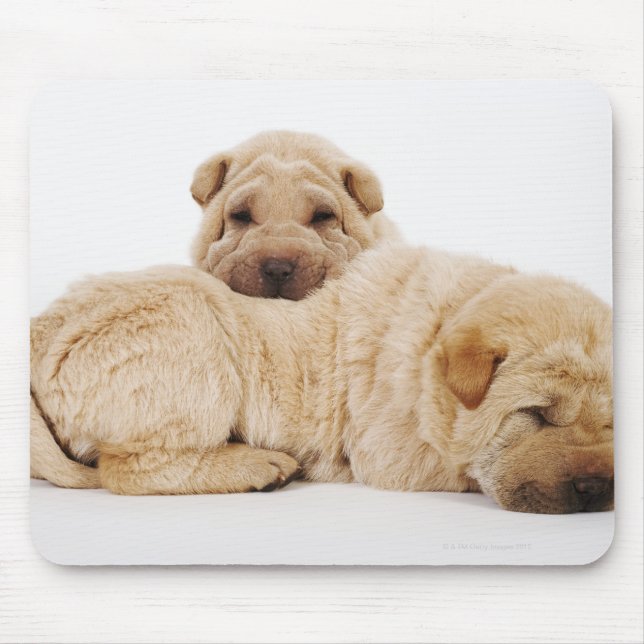 Two Shar Pei puppies sleeping, studio shot Mouse Pad (Front)
