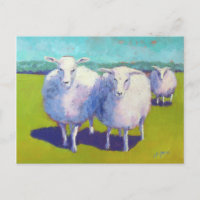 Two Sheep In Field