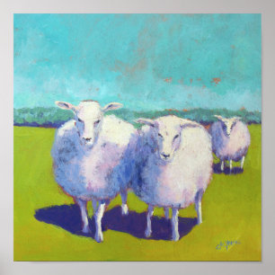 Two Sheep In Field Poster