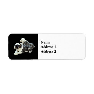 Two Sheepdogs Return Address Label