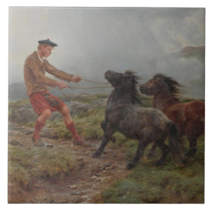 Two Shetland Ponies in a Misty Highland Landscape Ceramic Tile