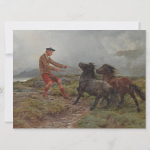 Two Shetland Ponies in a Misty Scottish Landscape Card